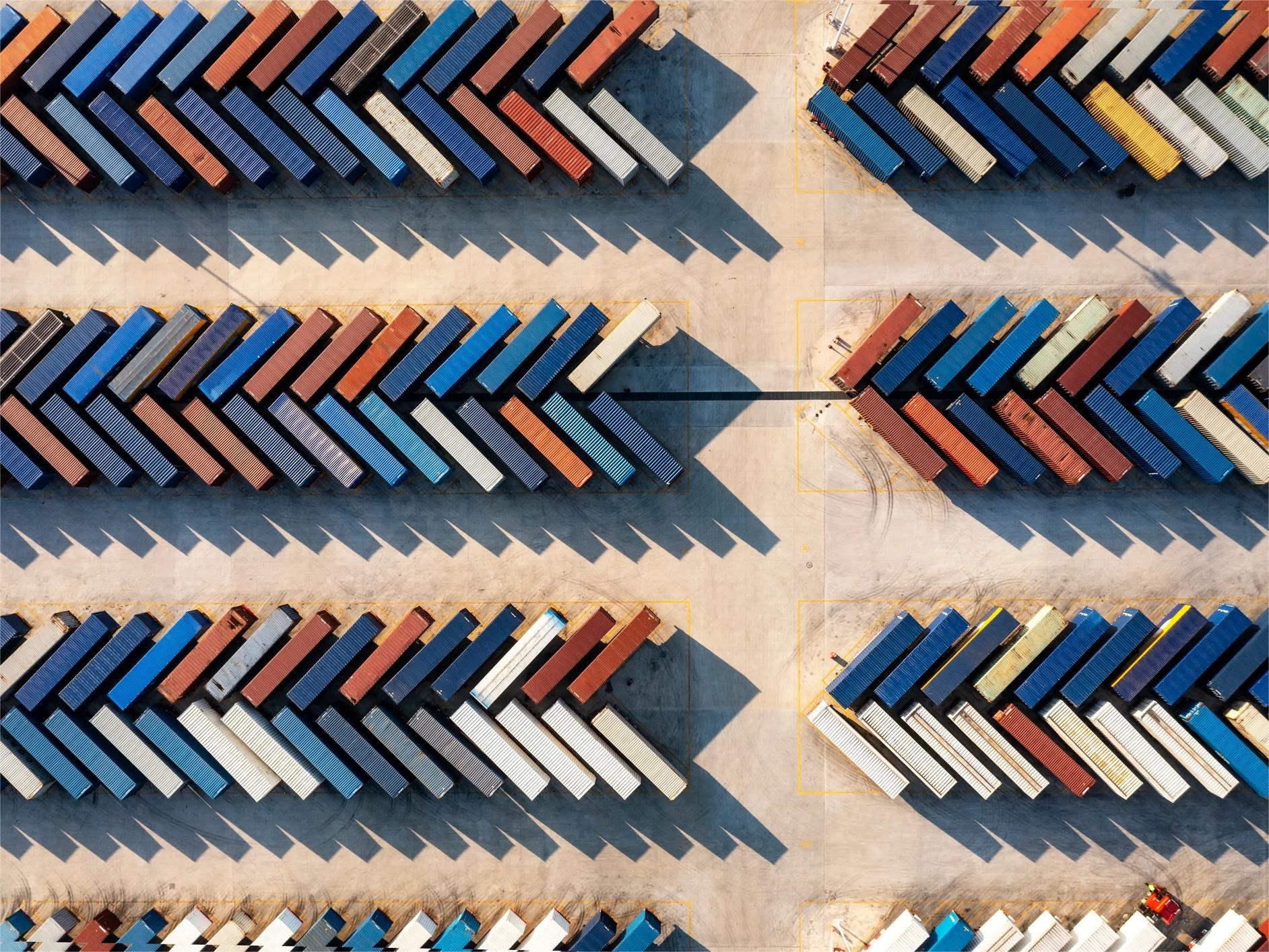 Business professional reviewing logistics documents