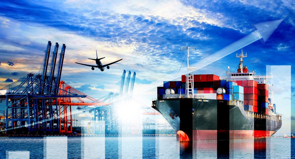 Logistics expert reviewing shipping documentation