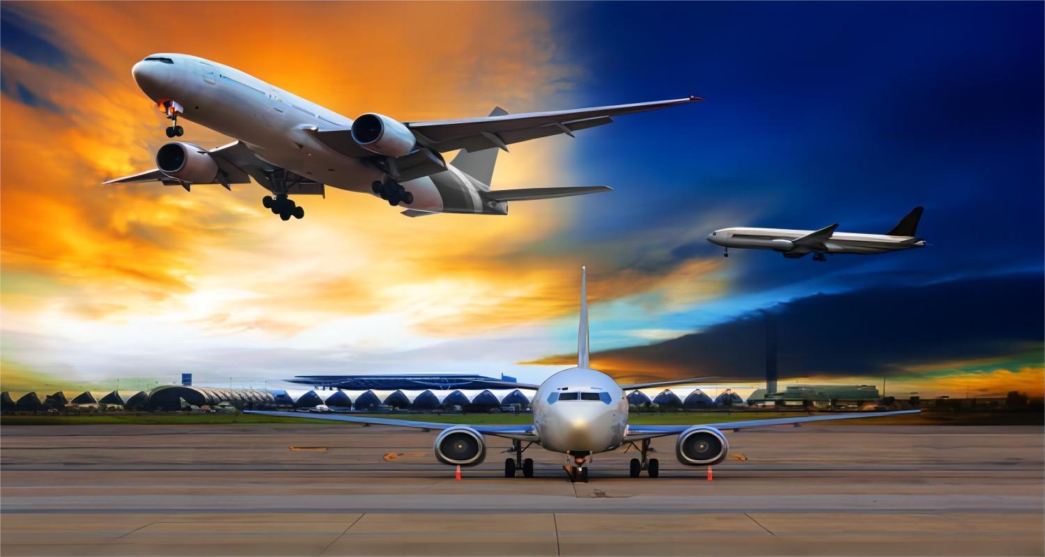 professional customs broker china